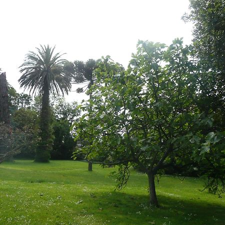 Las Carolinas Garden ซานตานเดร์ ภายนอก รูปภาพ