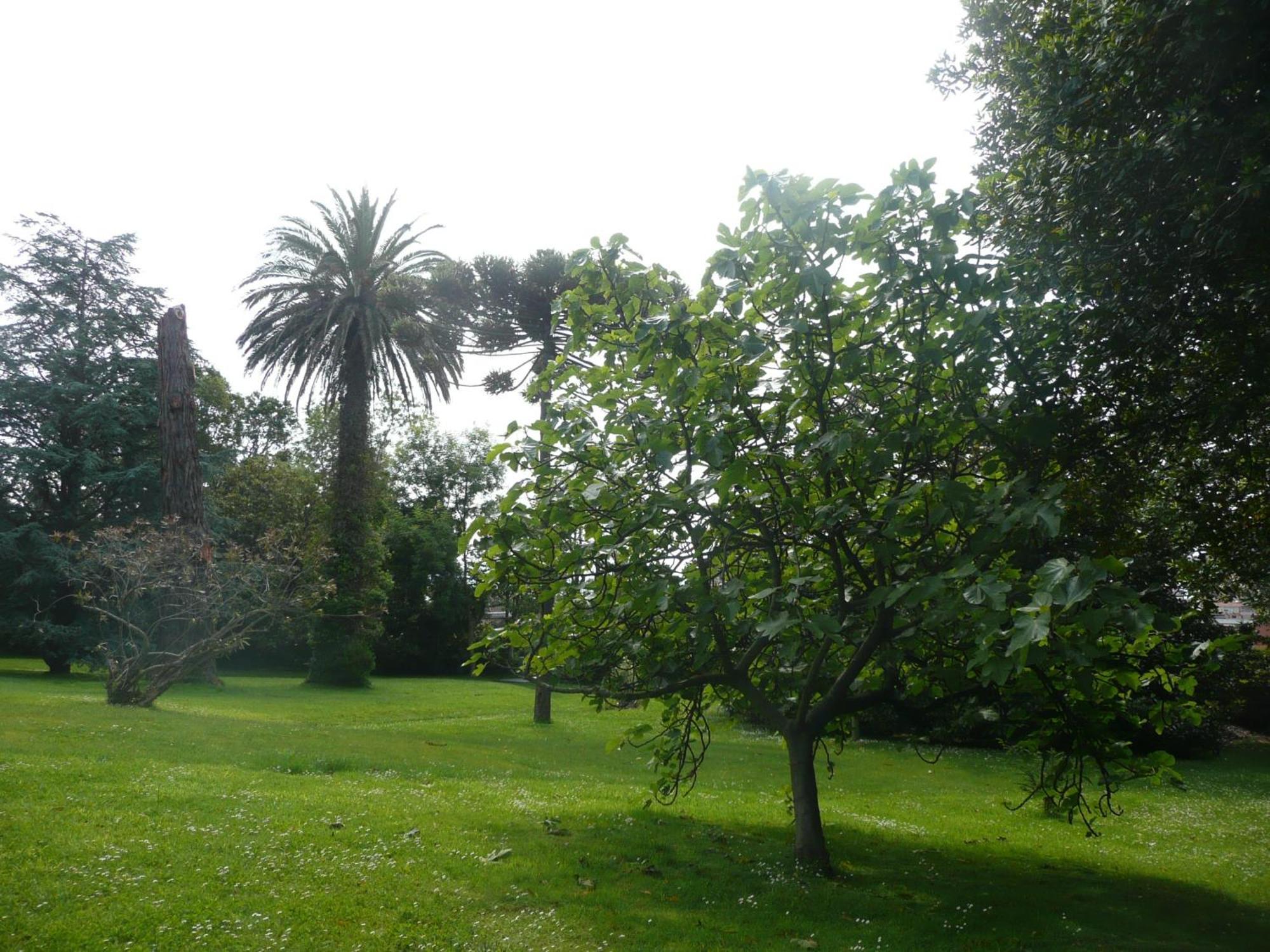 Las Carolinas Garden ซานตานเดร์ ภายนอก รูปภาพ